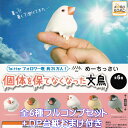 めーちっさい 個体を保てなくなった文鳥 アイピーフォー 【全6種フルコンプセット＋DP台紙おまけ付き】 野鳥 グッズ フィギュア ガチャガチャ カプセルトイ【即納 在庫品】【数量限定】【フルコンプリート】