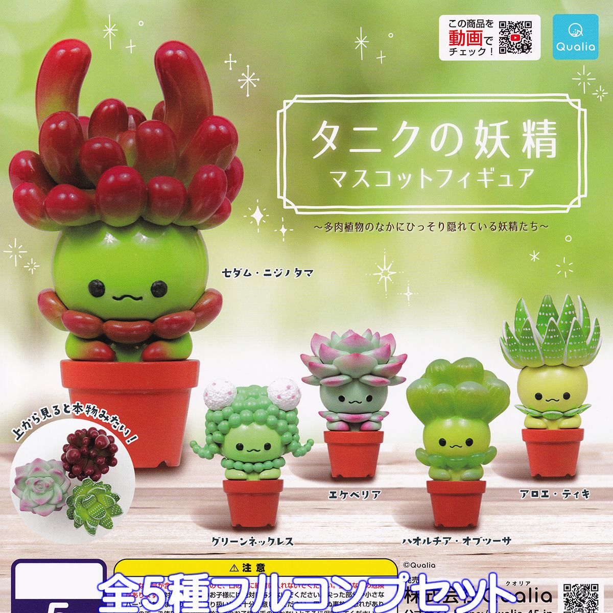 タニクの妖精 マスコットフィギュア Qualia 【全5種フルコンプセット】 多肉植物のなかにひっそり隠れている妖精たち キャラクター グッズ フィギュア ガチャガチャ カプセルトイ【即納 在庫品】【数量限定】【フルコンプリート】のサムネイル