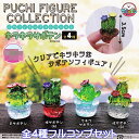 ぷちフィギュアコレクション キラキラサボテン アミューズ 【全4種フルコンプセット】 PUCHI FIGURE COLLECTION ミニチュア グッズ フィギュア ガチャガチャ カプセルトイ【即納 在庫品】【数量限定】【ネコポス配送対応可能】【フルコンプリート】