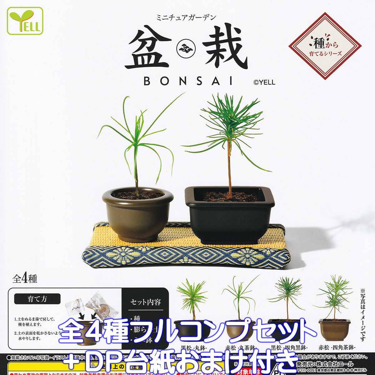 楽天市場】ミニ盆栽(コレクション|ホビー)の通販 楽天市場】ミニ盆栽(コレクション|ホビー)の通販