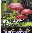 樹木のきのこコレクションVol.1 レインボー  広葉樹 キノコ ミニチュア 第1弾 かわいい グッズ フィギュア ガチャガチャ カプセルトイ