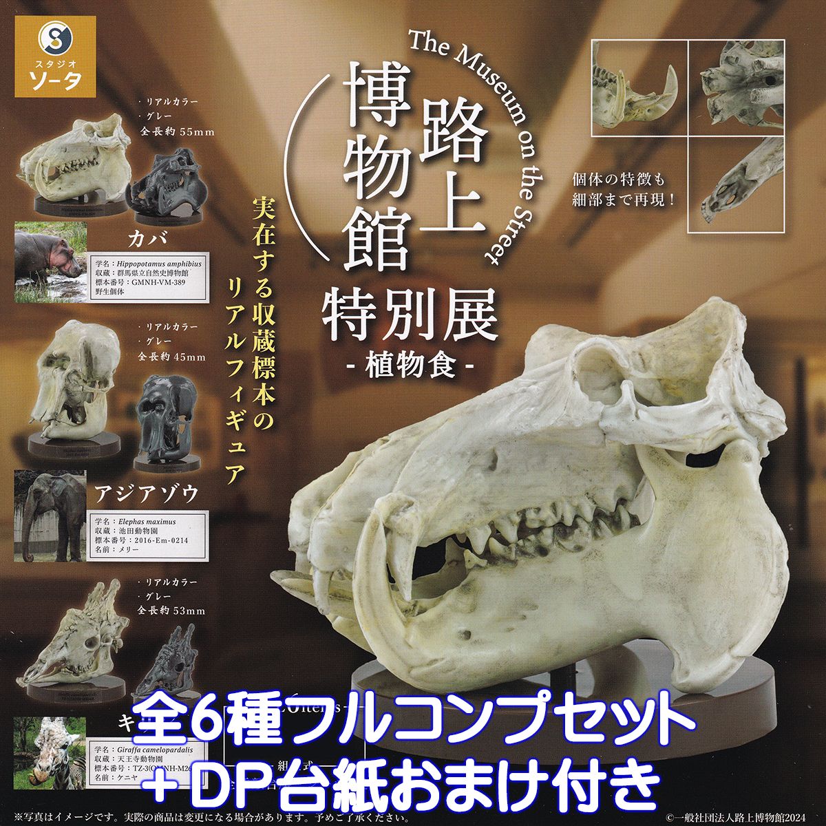 路上博物館 特別展‐植物食‐ SO-TA 【全6種フルコンプセット＋DP台紙おまけ付き】 The Museum on the Street グッズ フィギュア カバ アジアゾウ キリン 動物 ガチャガチャ カプセルトイ【即納 在庫品】【数量限定】【フルコンプリート】
