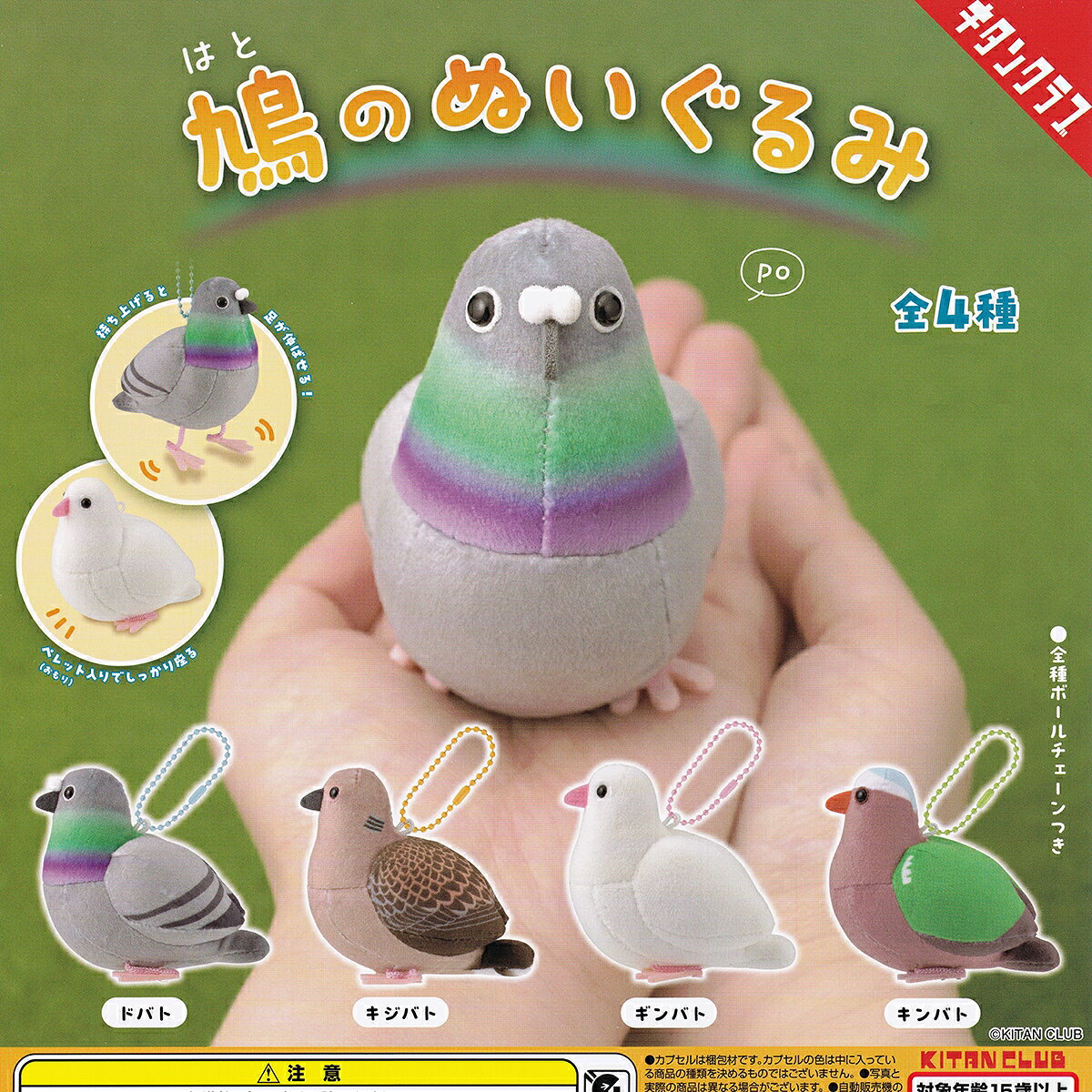 【フルコンプ】 鳩のぬいぐるみ 【全4種フルコンプセット】 キタンクラブ ハト 野鳥 動物 めじるしグッズ ガチャガチャ カプセルトイ 即納 在庫品 送料無料 追跡あり