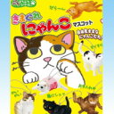 きまぐれにゃんこマスコット ぷちどうぶつシリーズ 猫 ネコ 食玩 リーメント（全10種フルコンプセット）【即納】