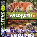 カプセルQミュージアム WILD RUSH 真 世界動物誌 IV 第4章 アジア 熱帯編 動物 アニマル 松村しのぶ ワイルド ラッシュ ガチャ 海洋堂 （全5種フルコンプセット＋DP台紙おまけ付き）【即納】【数量限定】