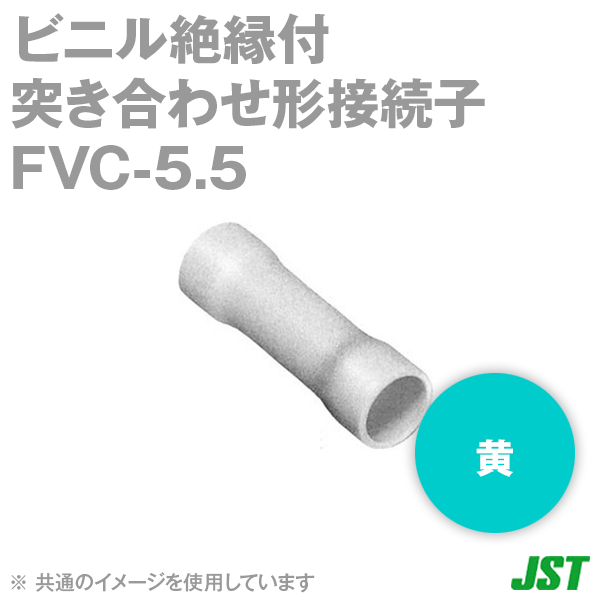 ܰü(JST) FVC-5.5  ӥ˥ͤ礻³(F) NN