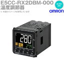 オムロン(OMRON) E5CC-RX2DBM-000 温度調節器 AC/DC24V プッシュインPlus端子台 プッシュインPlus端子台タイプ E5CC-Bシリーズ NN