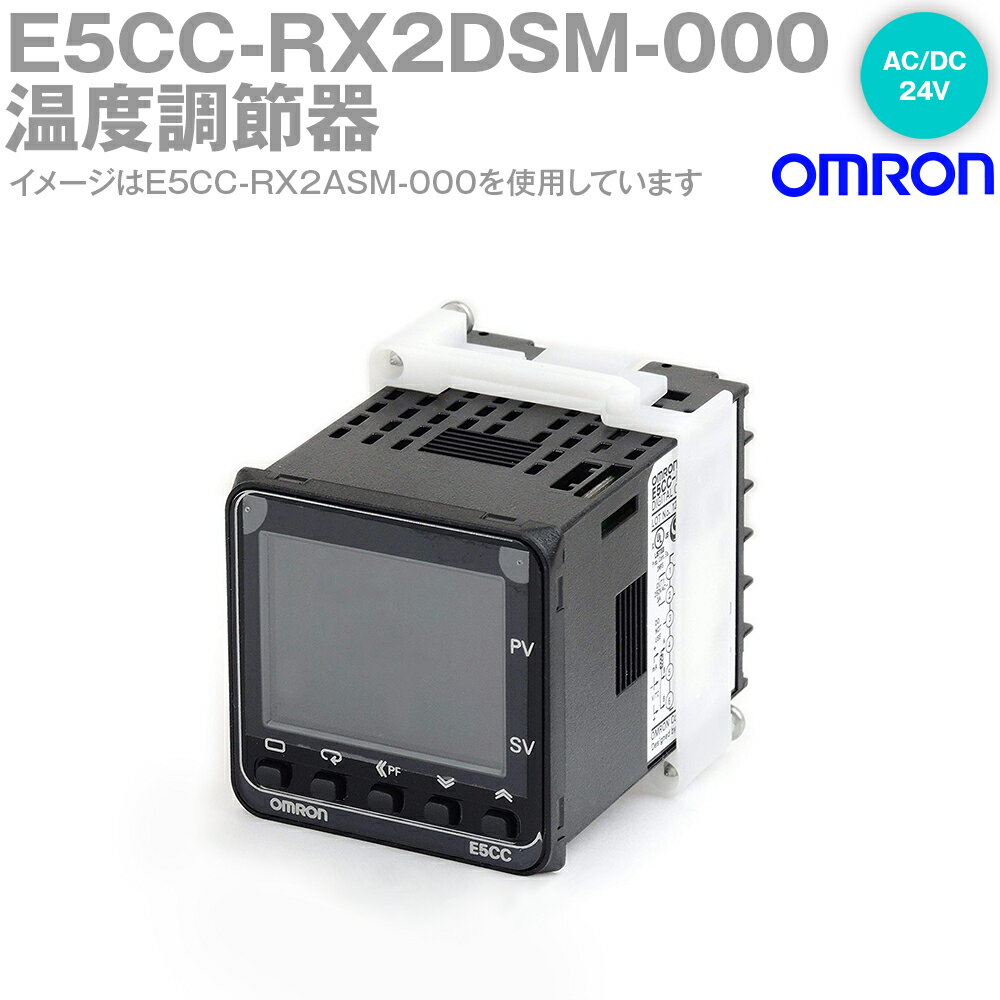 ȯOK (OMRON) E5CC-RX2DSM-000 ǥĴ 졼 ŸŰ AC/DC24V  2 NN