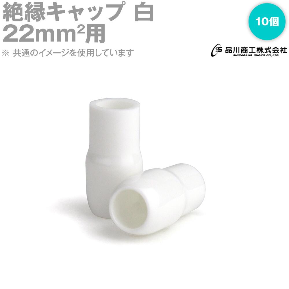 ANGEL HAM SHOP JAPAN㤨省å  22sqб 10ñ TCV-221-02 簵üҥå TVפβǤʤ120ߤˤʤޤ