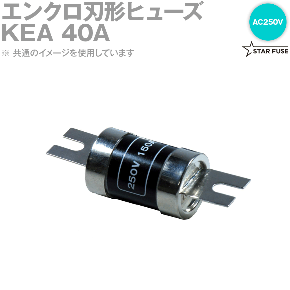 スターヒューズ KEA 40A アクメヒューズ用 内筒エレメント 10個 AC250V SN