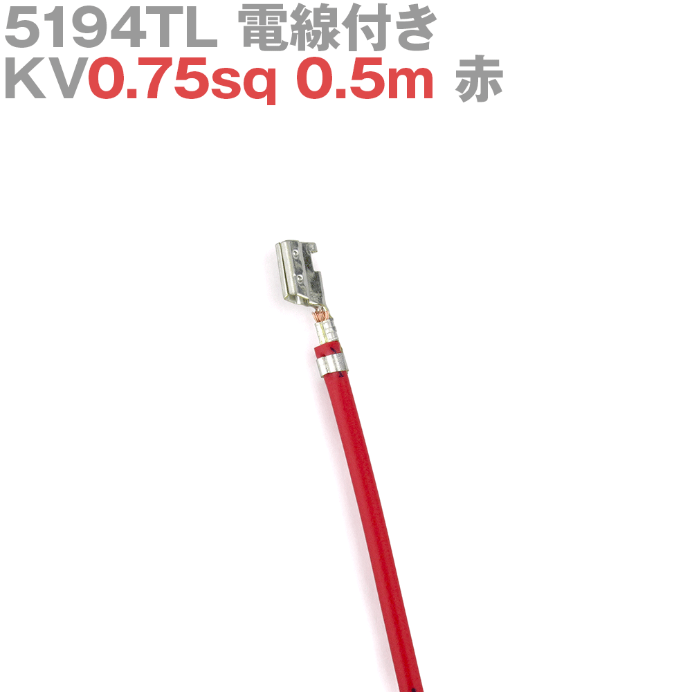 5194tlβ