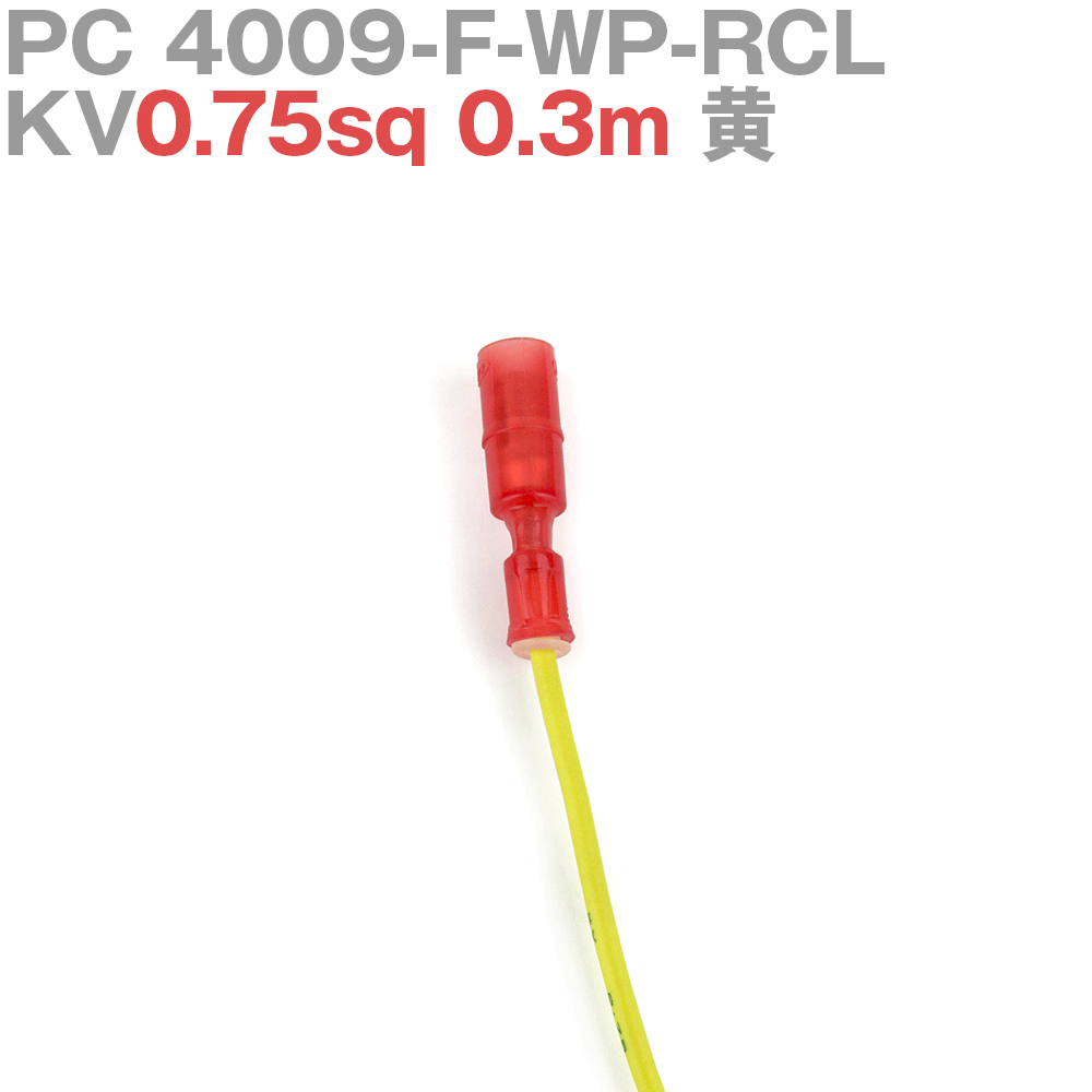 ˥ PC 4009-F-WP-RCL KV0.75sq դ 1 0.3m  TV