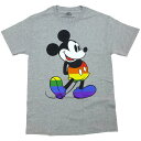 海外正規ライセンス Disney Mickey Mouse Pride Graphic Tee ミッキーマウス ディズニー LGBTQ+ レインボー Tシャツ グレー