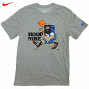 US限定 Nike Summer Camp OG Tee Hike 復刻 ヴィンテージ Tシャツ バスケットボール グレー/ハイクナイキ【あす楽対応_関東_甲信越_北陸_東海_近畿_中国_四国】【ゆうパケット対応】