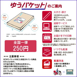 新品/海外限定/KATIN/ケイティン/K-Man/BlendTee/白【あす楽対応_関東_甲信越_北陸_東海_近畿_中国_四国】【ゆうパケット対応】