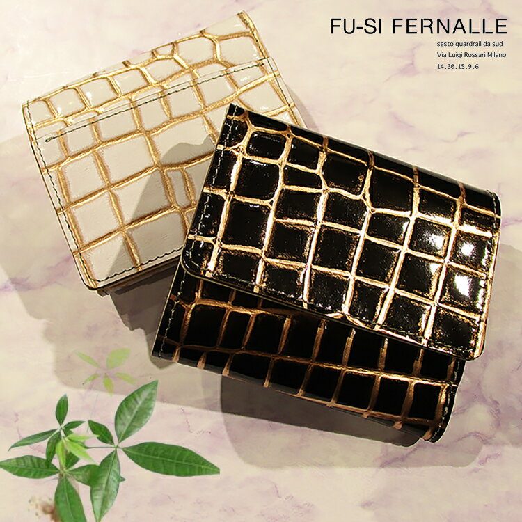 աեʡ FU-SI FERNALLE SANTERO ƥ   ܥå 2ޤ ߥ...