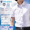  Ȃ1799~  CVc  5Zbg   `Ԉ z]^ yVLO1ʊl 5B Iׂ BS-shirt CVc Y X YVc N[rY 傫TCY  code1  ̓