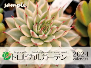 【1等最大100%ポイントバック】11/4から発送開始 カレンダーセット 名札付きエケベリア5種類+2026年トロピカルガーデンオリジナルカレンダー2種類 多肉植物 エケベリア 観葉植物 ギフト