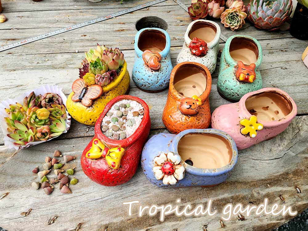 選べる寄せ植えセット　モルタル製エスニック壺鉢付き　リトープス　エケベリア　多肉植物　メセンのサムネイル