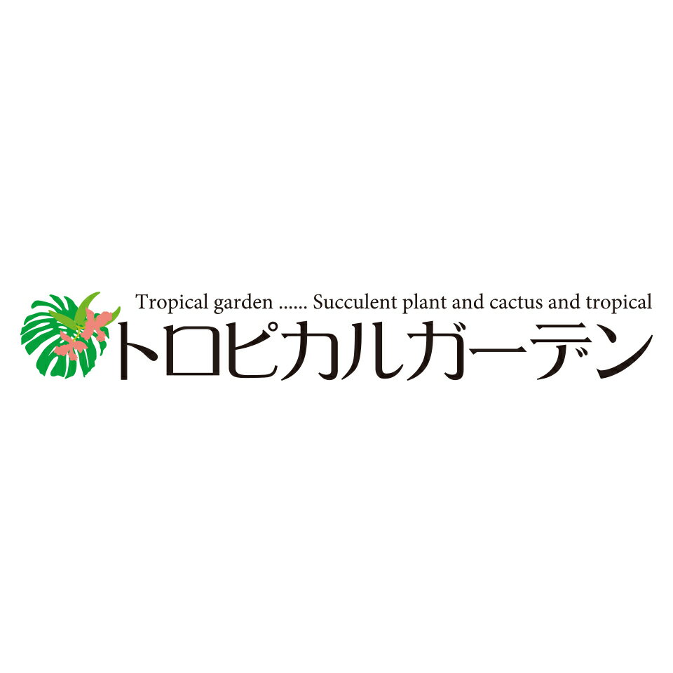 Shop icon