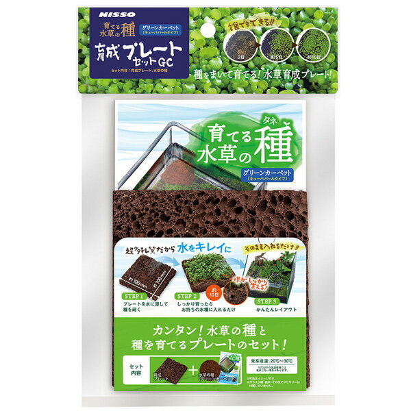 ニッソー　育てる水草の種・育成プレートセットGC(クリーンカーペット)