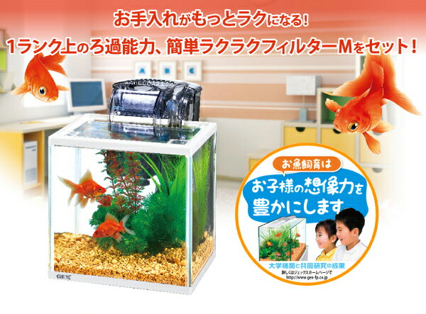 【ポイント5倍！】　GEX　金魚元気ラクラクセット　小型観賞魚飼育セット[083112p05]