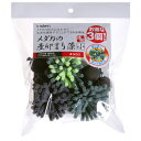 スドー メダカの産卵まり藻(小)3個入 メダカ用産卵床