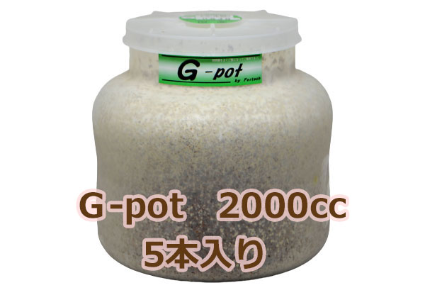 フォーテック菌糸ビン　G-pot　スタウト　2000cc　5本入　【昆虫/エサ/菌糸瓶】