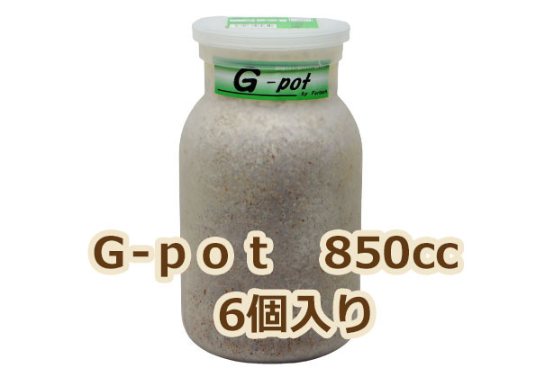 フォーテック菌糸ビン G-pot・850cc 6本入 【昆虫/エサ/菌糸瓶】