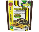 キョーリン マルベリックドライ 180g 桑葉ベース・草食性爬虫類フード 【爬虫類・両生類/エサ】