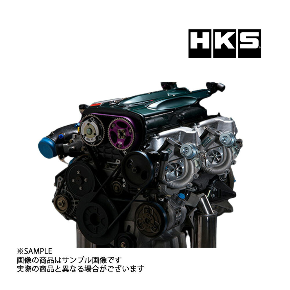 HKS GT III スポーツタービンキット (アクチュエーターシリーズ) スカイライン GT-R BNR34 11004-AN012..