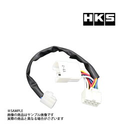 HKS ターボ タイマー ハーネス ノア CR40G/50G 4103-RT007 トラスト企画 トヨタ (213161066