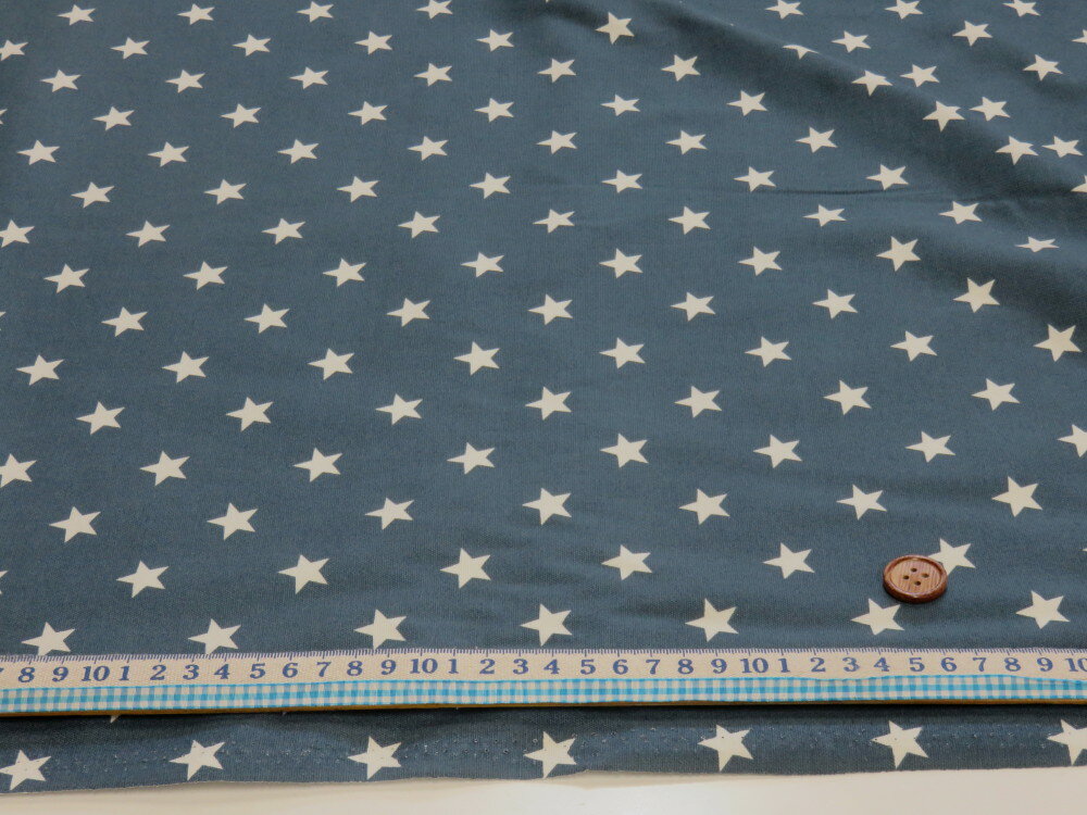 星柄 くすみブルー オックス生地 dou【メール便2m可】 宇宙 スター コスモ 星 生地 布地 綿 コットン 手作り 手芸 ハンドメイド 入園 入学