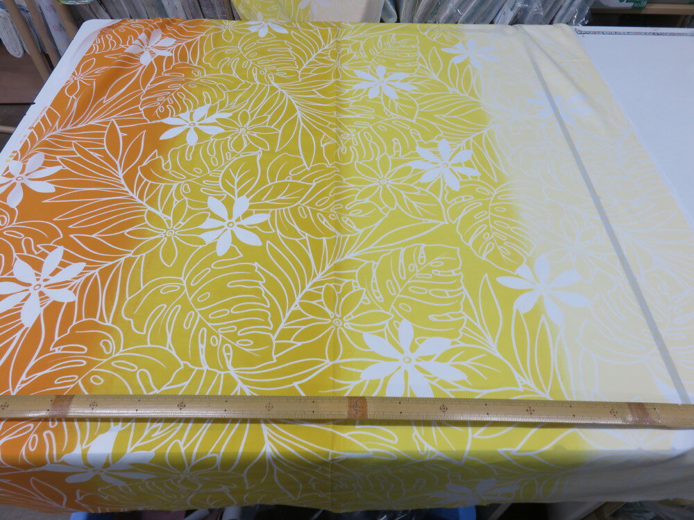 T/C֥ ϥ磻 оΥǡ  douڥ᡼3mġ   ϥ磻 ե  ࡼࡼ  Ρ