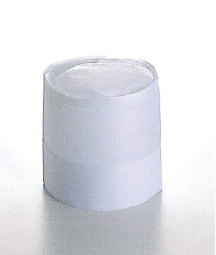 ѥꥹեϥåȡΥץ꡼ġ10ˡPH-121NT⡧210mm