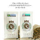 ブルーマウンテンNO.1＆ハワイコナ100％ 浅煎りコーヒー豆（珈琲 豆／粉）100g×2袋