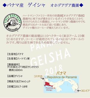 ゲイシャコーヒーパナマ産ゲイシャ種100%〜ハートマンオホデアグア農園〜(珈琲豆/粉)100g