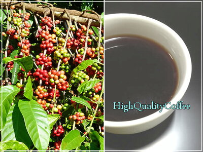 クリスタルマウンテンコーヒー(キューバ産)(珈琲豆/粉)100g