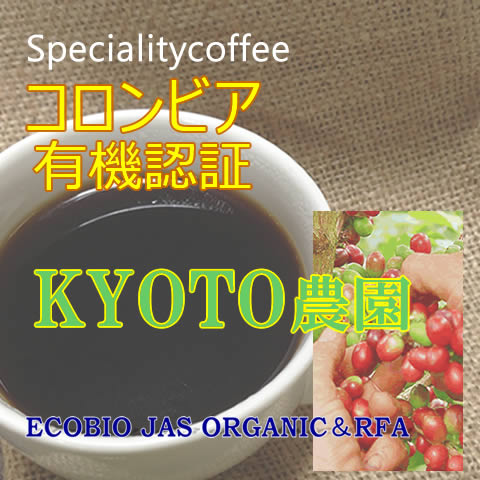 上町厳選スペシャルティ 【コロンビア】 KYOT...の商品画像