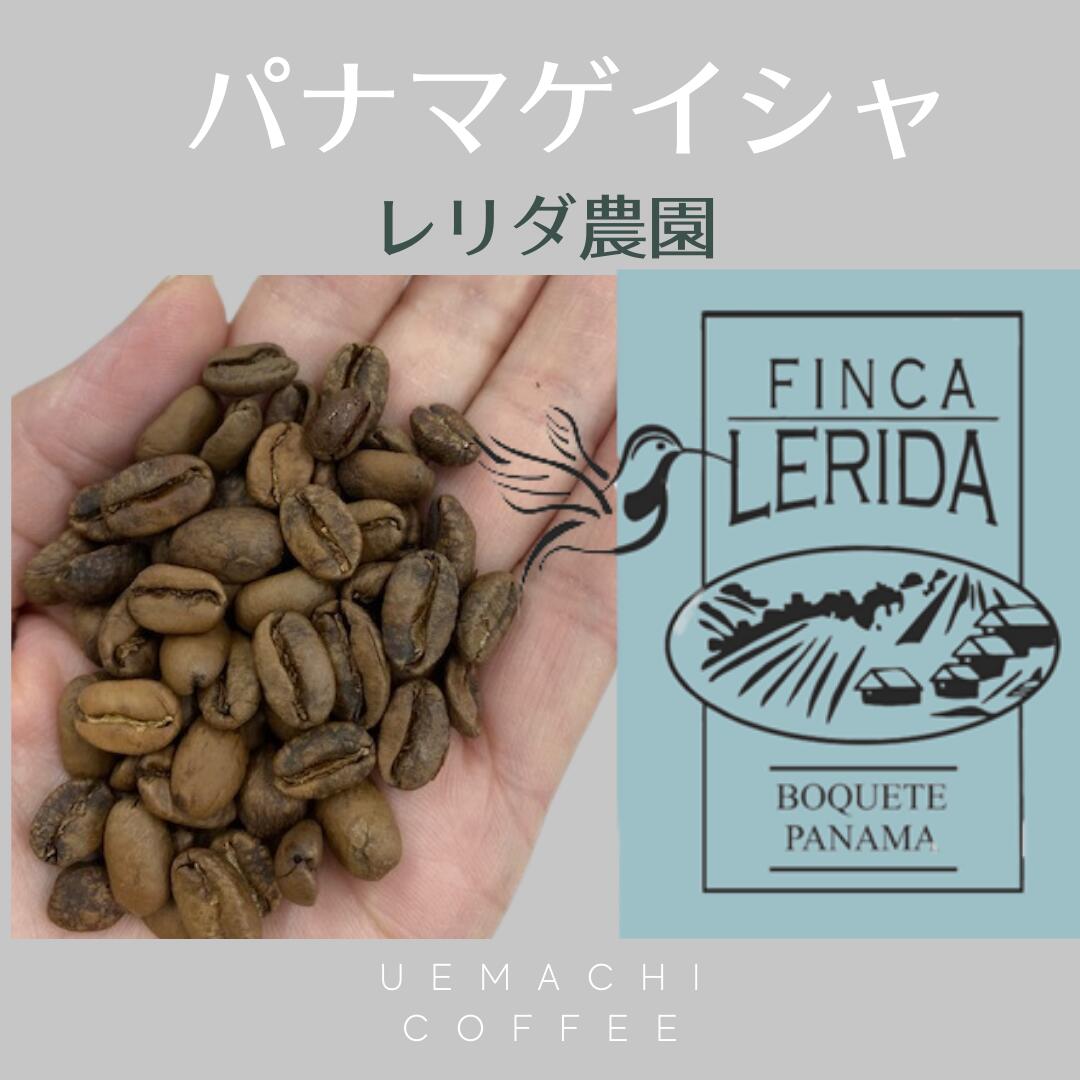 ゲイシャ コーヒー ナチュラル（豆/粉）100gパナマ産(ゲシャ種) レリダ農園　FINCALERIDA COFFEE 　上町珈琲