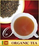 オーガニックティー （オーガニック紅茶）ダージリン　100g 品質の優れたものを有機栽培で丹念に育てたあげた自信作！