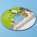 サンワサプライ インクジェットDVD / CDラベル LB-CDR001N DVDラベル 20枚 内径41mm マット紙 送料無料