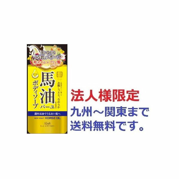 【90個セット】【法人様限定】 ロッシモイストエイド オイルインボディソープBN 450ml