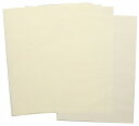 【10個セット】 アーテック ArTec A4ペーパー単品クロッキー用紙2穴100枚 描画材料 美術教材 図工 ファイル 美術 絵具用品 学校教材 スケッチブッ...
