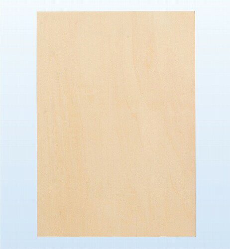 ��10�ĥ��åȡ� �����ƥå� ArTec �ѥͥ륢���� A4 ���ʼ�