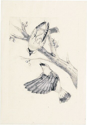 【10個セット】 アーテック ArTec マットPP板 中 ( 360X240X0.5MM ) 凹版 図工 版画 美術 学校教材 マット 片面スリ加工 画材 自由研究 エコ素材 マット半透明板 書道 小学生 工作 安全 高品質