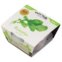 【2個セット】 アーテック ArTec プチベジ ルッコラ 野菜 手作り 理科 課題 ベジタブル 室内 ペパーミント 栽培 食育 ハーブ 知育 学校教材 初心者...