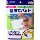 【2個セット】 デルガード 傷あてパッド Lサイズ 5枚入 救急用品 絆創膏 阿蘇製薬 ばんそうこう 切り傷 バンドエイド