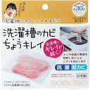 洗濯槽のカビ ちょうキレイ 1枚入 洗剤 臭い 洗濯槽 洗濯物 洗濯 太洋 洗濯機 カビ対策 クリーニング 防カビ ニオイ 掃除 洗濯槽クリーナー エコデオ 防カビ剤 抗菌(3)