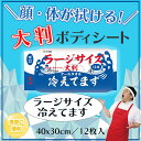 【5個セット】 大判 クールタオル ラージサイズ冷えてます 40×30cm 12枚入
